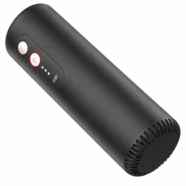 Ozone + Anion Air Filter Home Car Portable Air Freshener Purifier